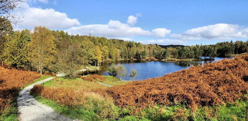 (45) Tarn Howes.jpg